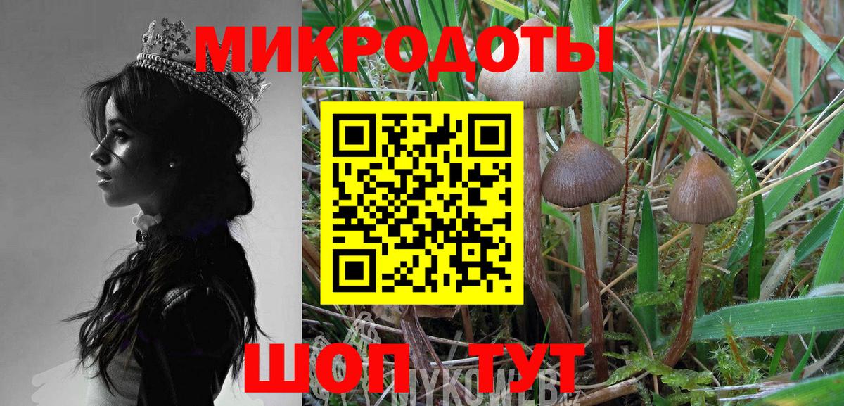 Гурьевск  Галлюциногенные грибы Cubensis  Вход с VPN 