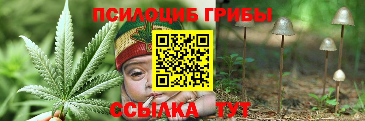 Псилоцибиновые грибы Magic Shrooms Гурьевск